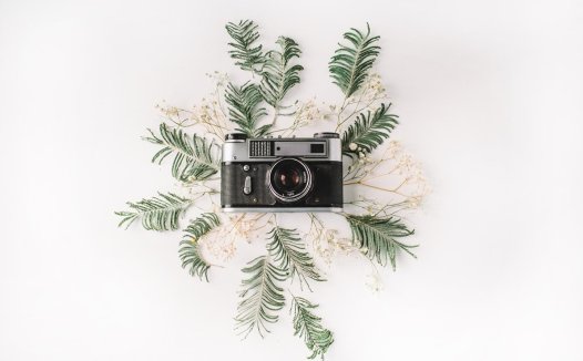 实控人挪用资金超5亿元收罚单