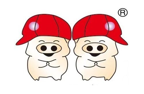 双胞胎集团2025年反舞弊通报