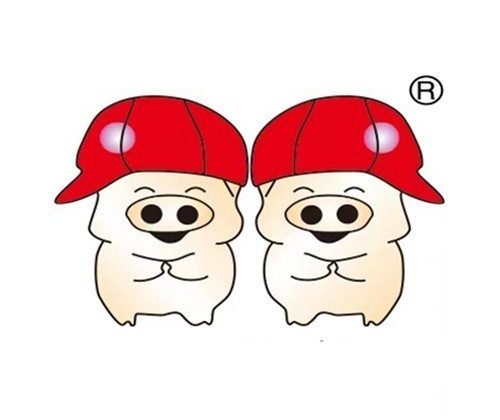 双胞胎集团2025年反舞弊通报